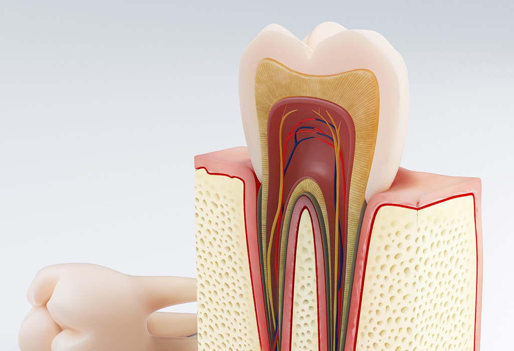 odontología en El Masnou